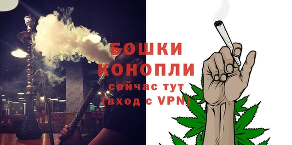 мдпв Бородино