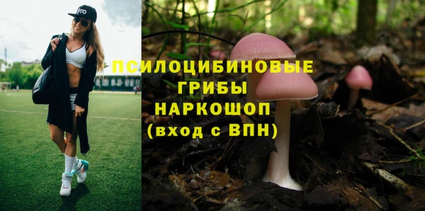 а пвп мука Армянск