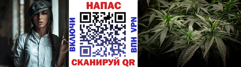 Марихуана план  купить закладку  Лаишево 